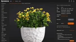 Screenshot_13.webp Screenshot_13.webp