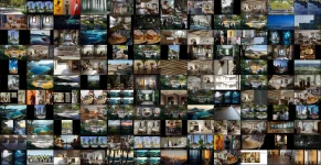 Screenshot_4.webp