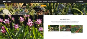 Maxtree Plant Models Vol 105 to 109 – Colorful Ornamental Grass Full Collection.webp Maxtree Plant Models Vol 105 to 109 – Colorful Ornamental Grass Full Collection.webp