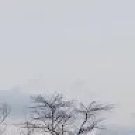 kohaga121