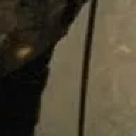 Lnx